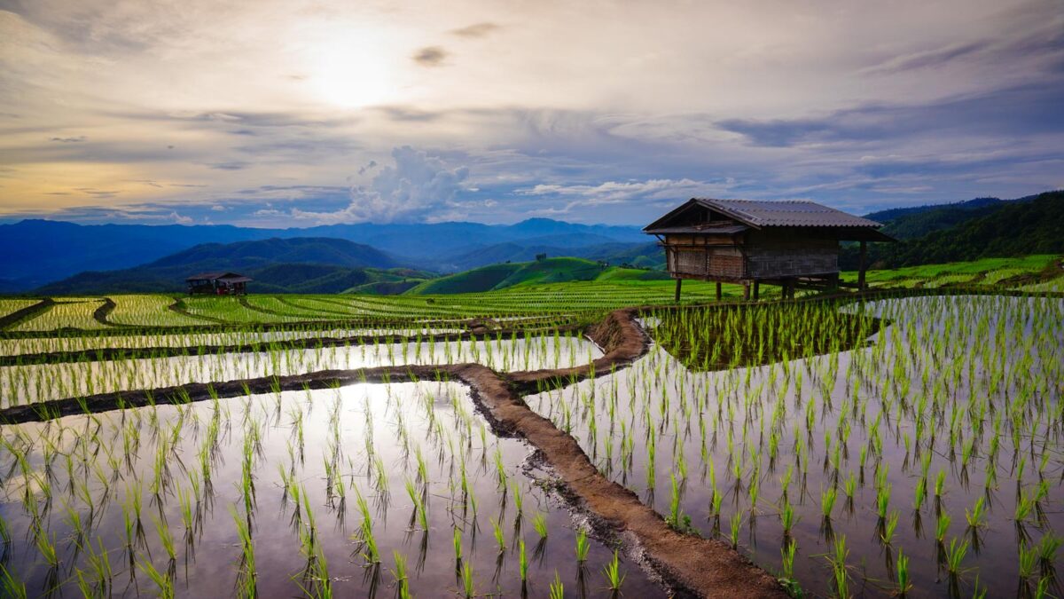 Chiang Mai Mountain Challenge Cycling Tour