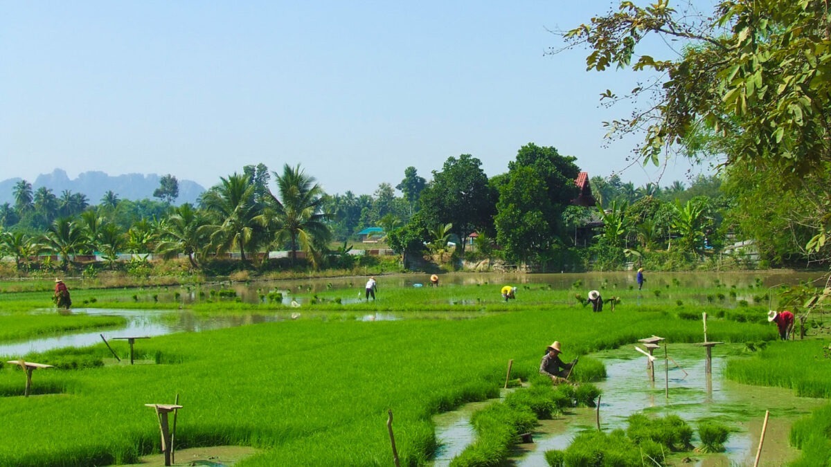 Chiang Mai To Bangkok Cycling Tour 1