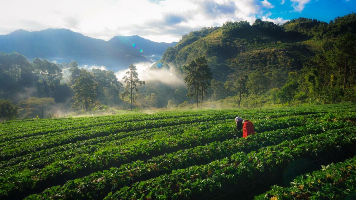 Chiang Mai To Bangkok Cycling Tour 1