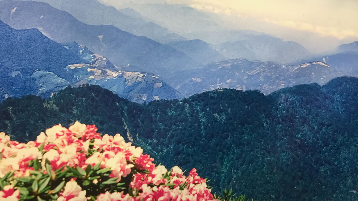 Taiwanese mountain range