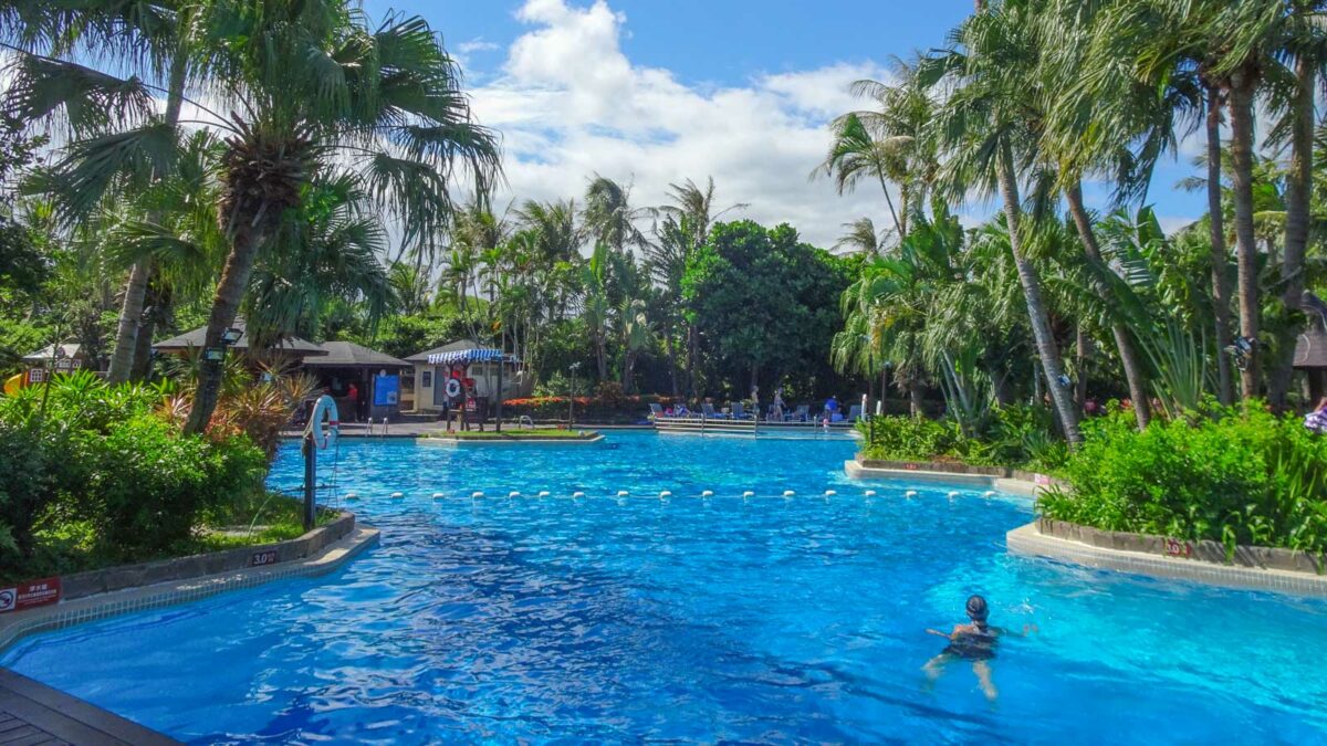 Swimming pool surrounded by palm trees
