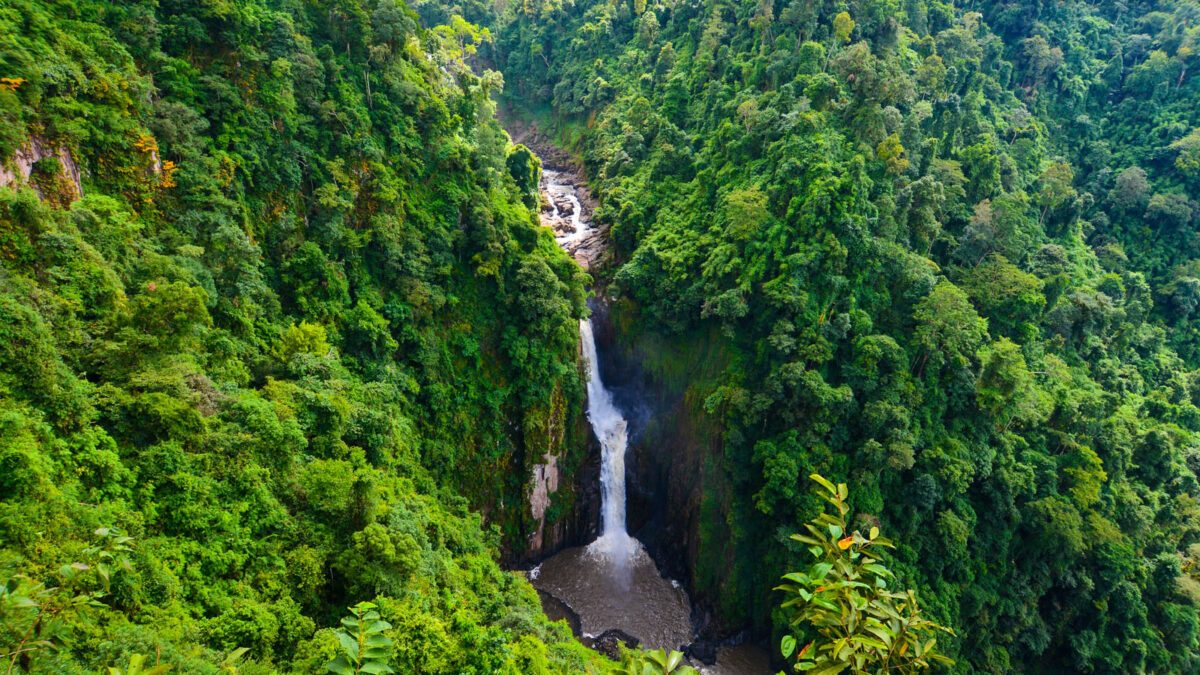 Khao Yai National Park Thailand