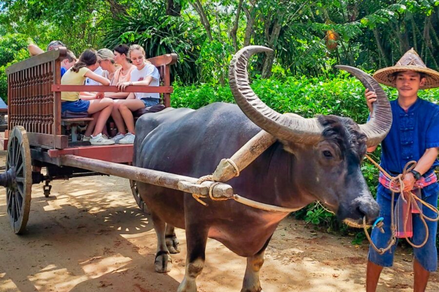 E-Bike Tours Phuket Countryside E Bike Tour 12 Of 26